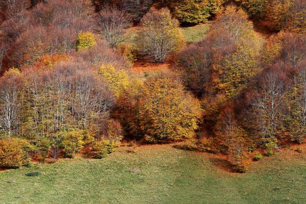 Autunno a passo Godi