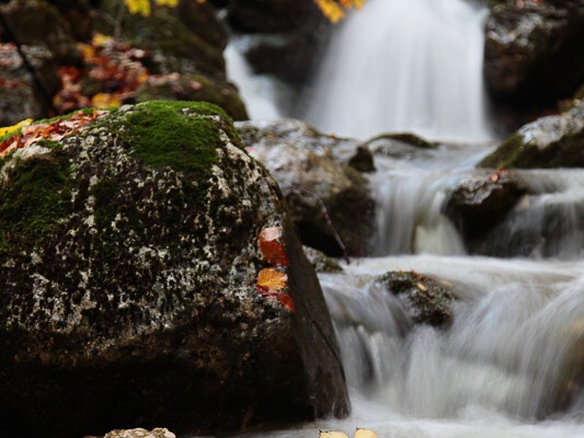 I tempi della natura