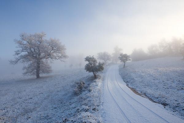 Una fredda mattina di inizio inverno