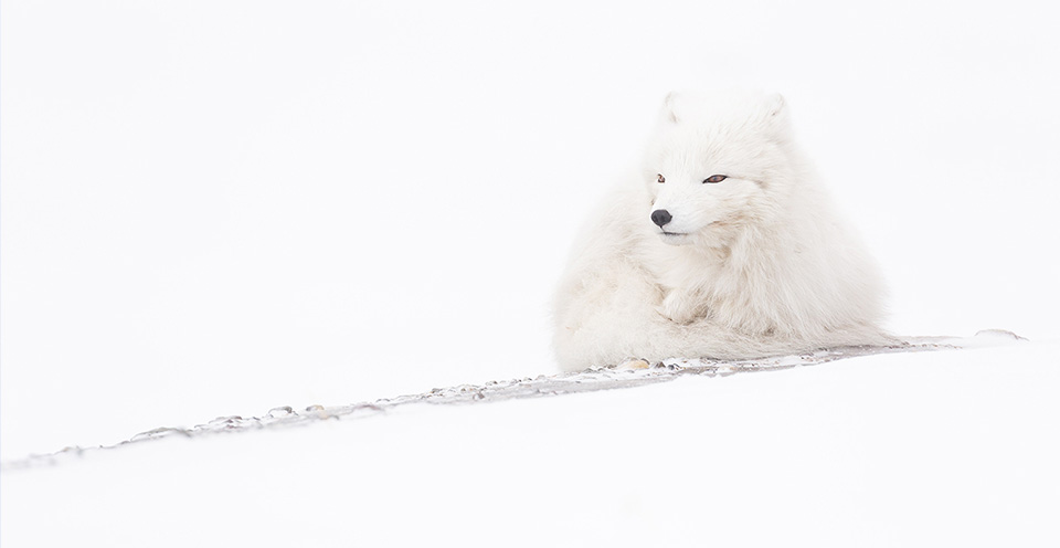 Davide Biagi – La magia delle isole Svalbard